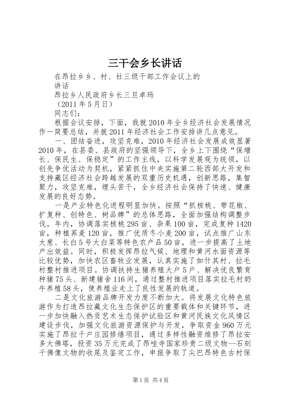 三干会乡长讲话发言_第1页