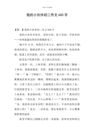 我的小伙伴初二作文600字