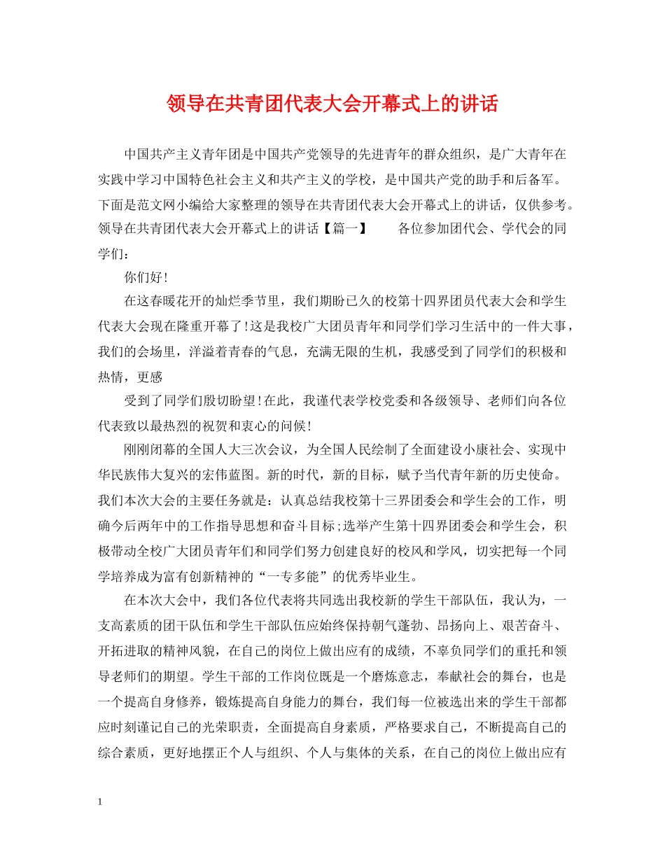 领导在共青团代表大会开幕式上的讲话2 _第1页