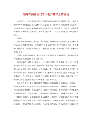 领导在共青团代表大会开幕式上的讲话2 