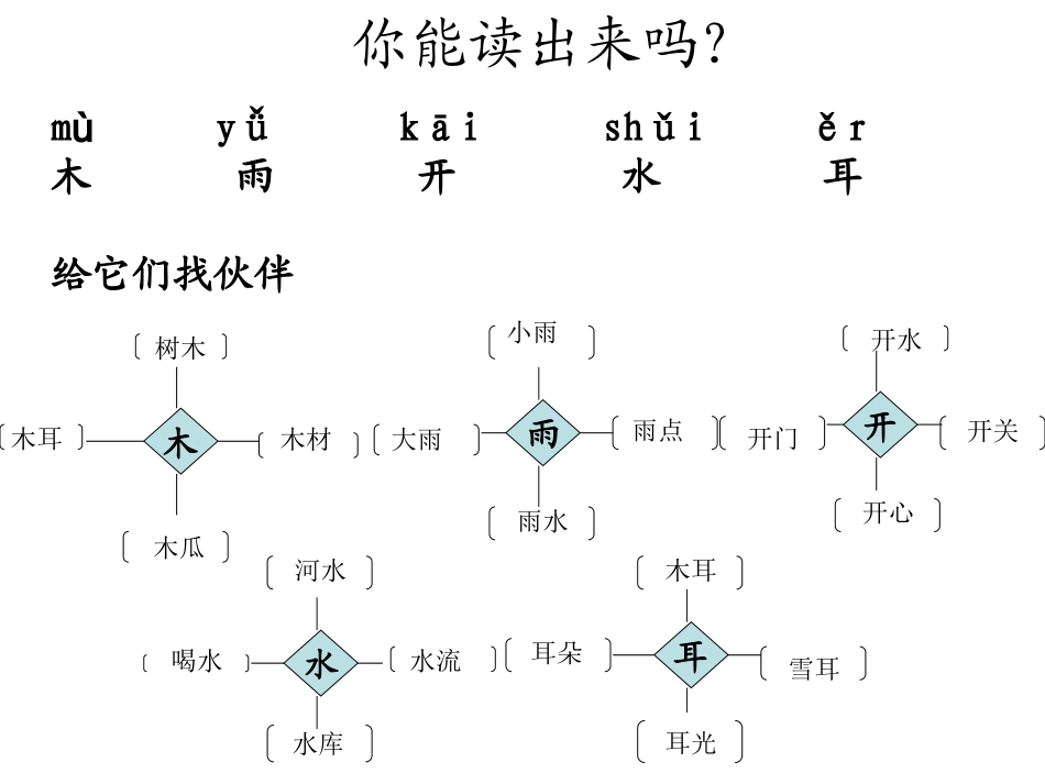 雨后的森林课件_第3页