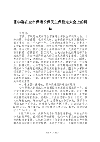 张学群在全市保增长保民生保稳定大会上的讲话发言
