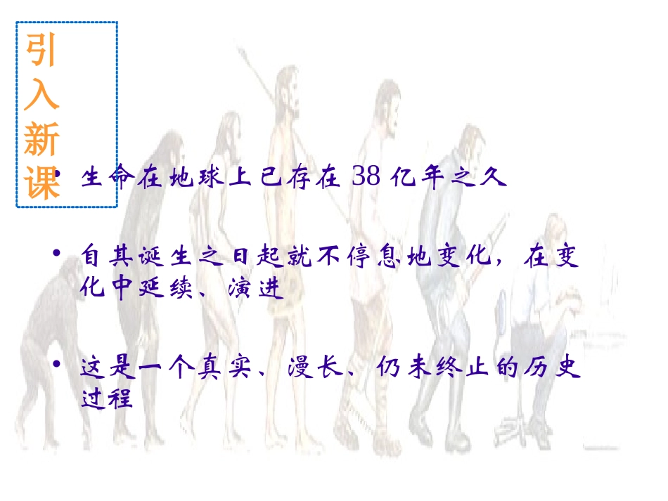 八年级生物生物进化的历程_第2页