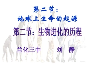八年级生物生物进化的历程