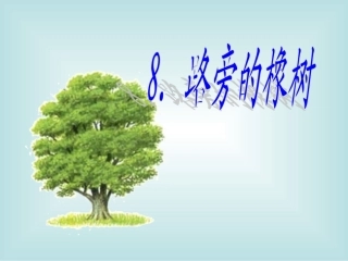 《路旁的橡树》课件2