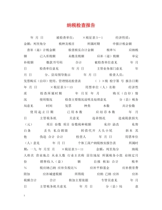 纳税检查报告 