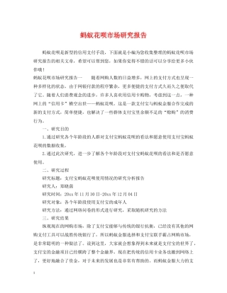 蚂蚁花呗市场研究报告 