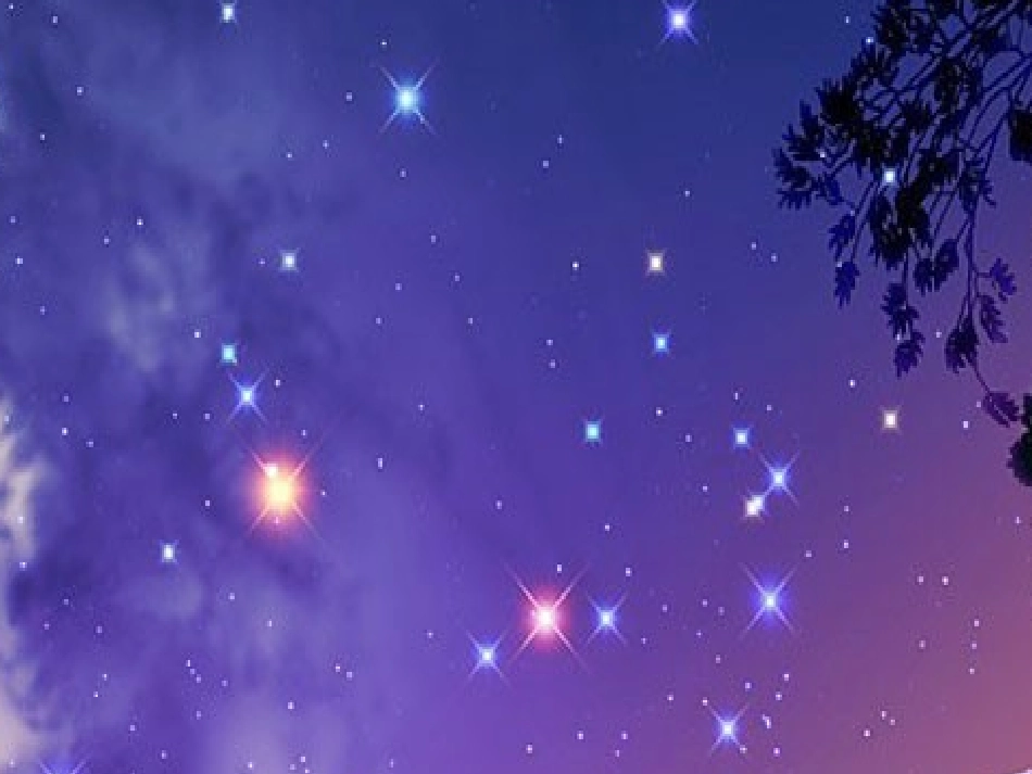 《数星星的孩子》课件_第2页