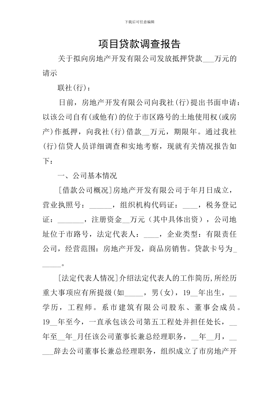 项目贷款调查报告_第1页
