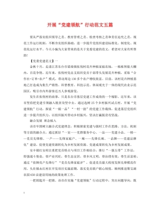 开展“党建领航”行动范文五篇 