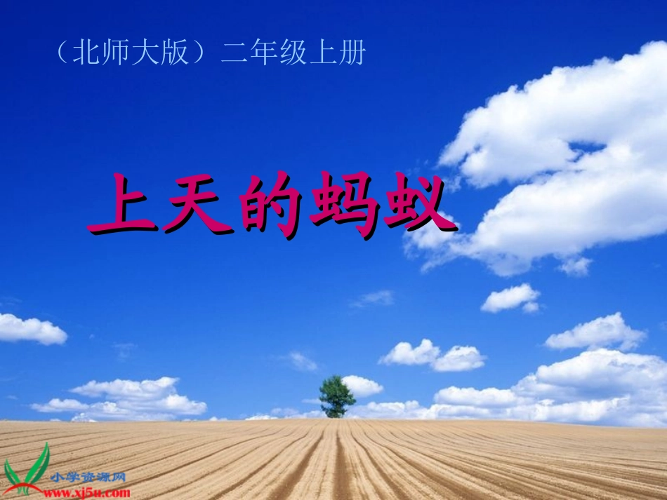 上天的蚂蚁1_第3页