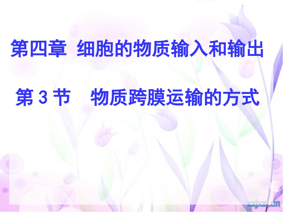 物质跨膜运输的方式_第1页