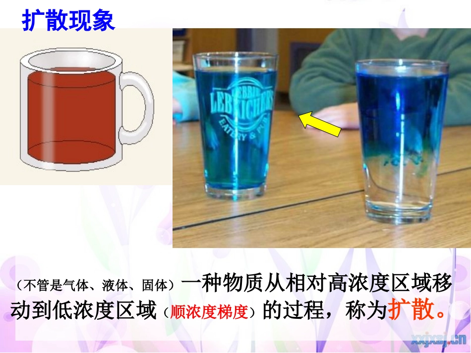 物质跨膜运输的方式_第3页