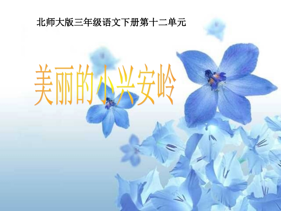 《美丽的小兴安岭1》_第1页