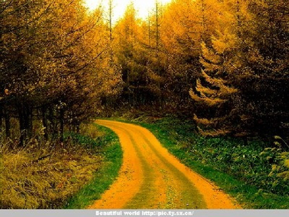 世界历史下第10课苏联改革与解体_第1页