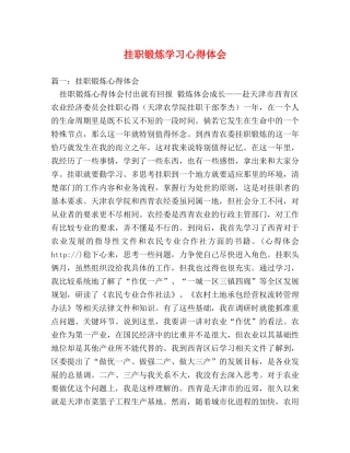 挂职锻炼学习心得体会 (000001)