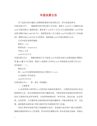年度决算公告 