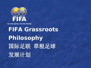 国际足联草根足球发展计划