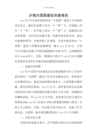 乡镇大团委建设自查报告