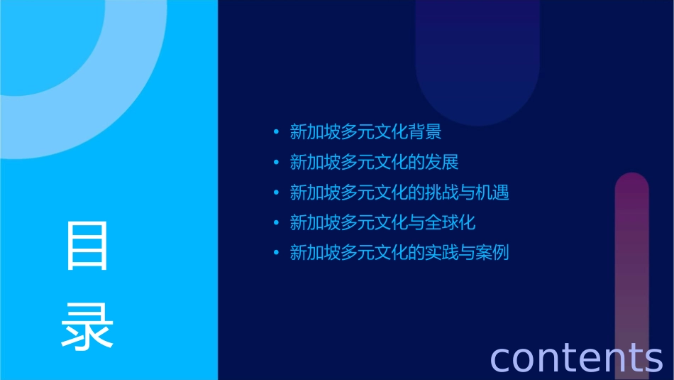 多元文化地球村新加坡课件_第2页