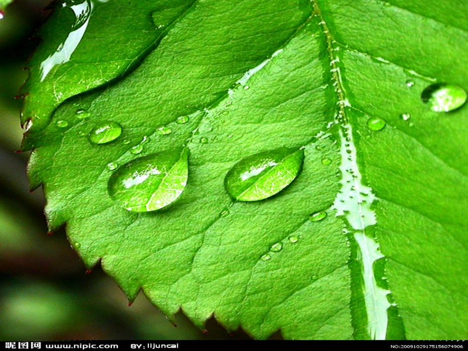 《难忘的一件小事》作文教学课件_第2页