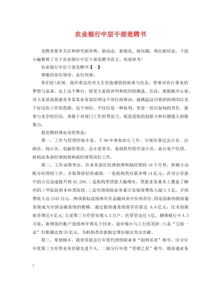 农业银行中层干部竞聘书