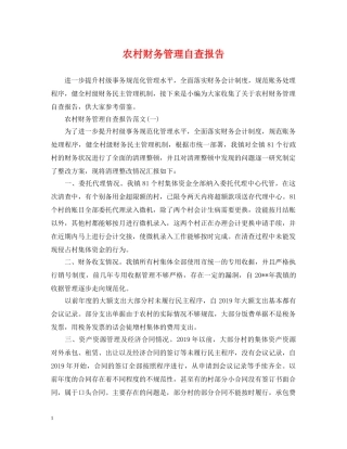 农村财务管理自查报告