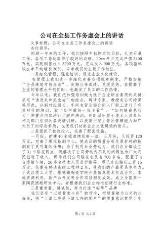 公司在全县工作务虚会上的讲话发言