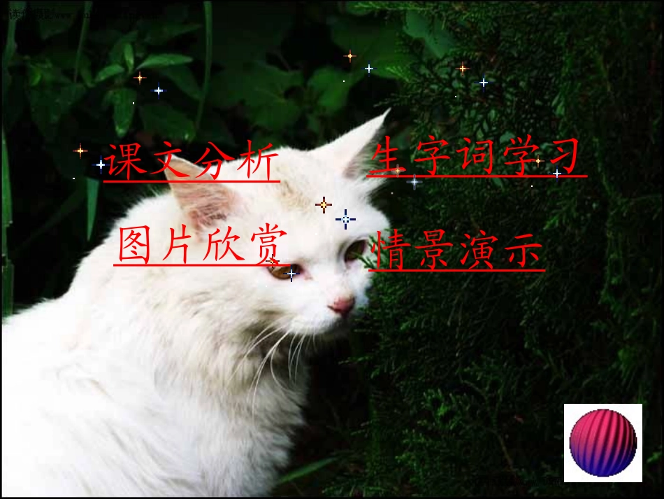 《猫》课件之二（北京版五年级语文上册课件）_第2页