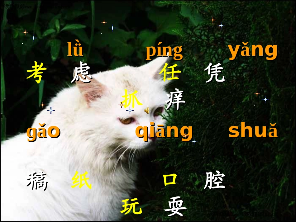 《猫》课件之二（北京版五年级语文上册课件）_第3页