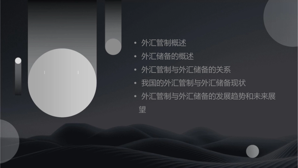 外汇管制与外汇储备课件_第2页
