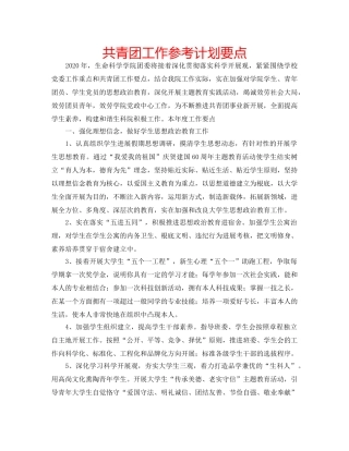 共青团工作参考计划要点 