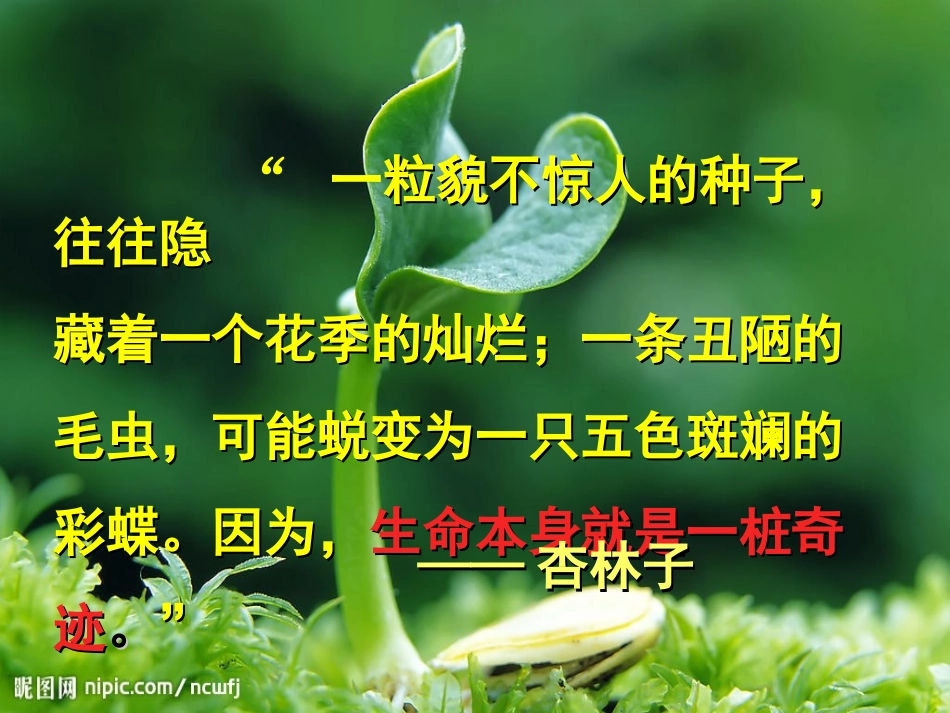 生命生命PPT课件 (2)_第1页