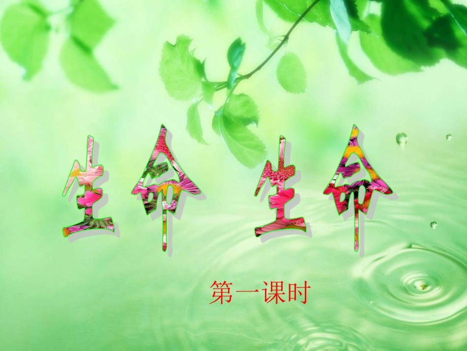 生命生命PPT课件 (2)_第3页