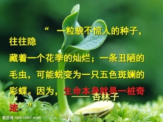 生命生命PPT课件 (2)