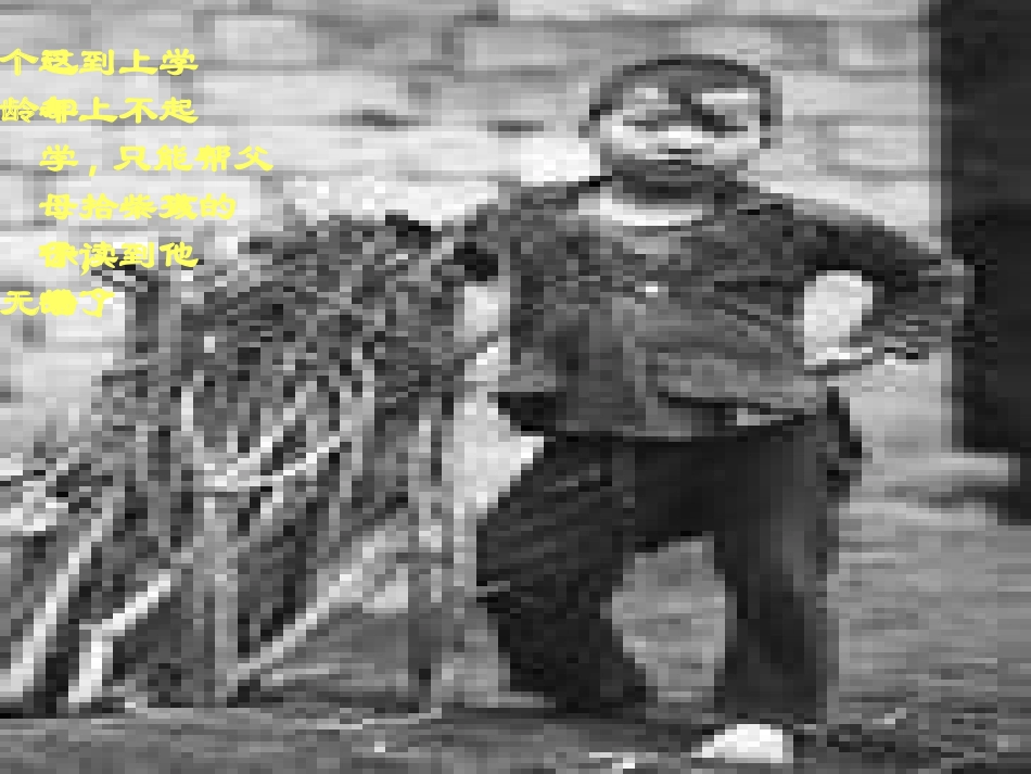 “希望工程”义演演示文稿_第3页