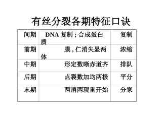 有丝分裂各期特征口诀
