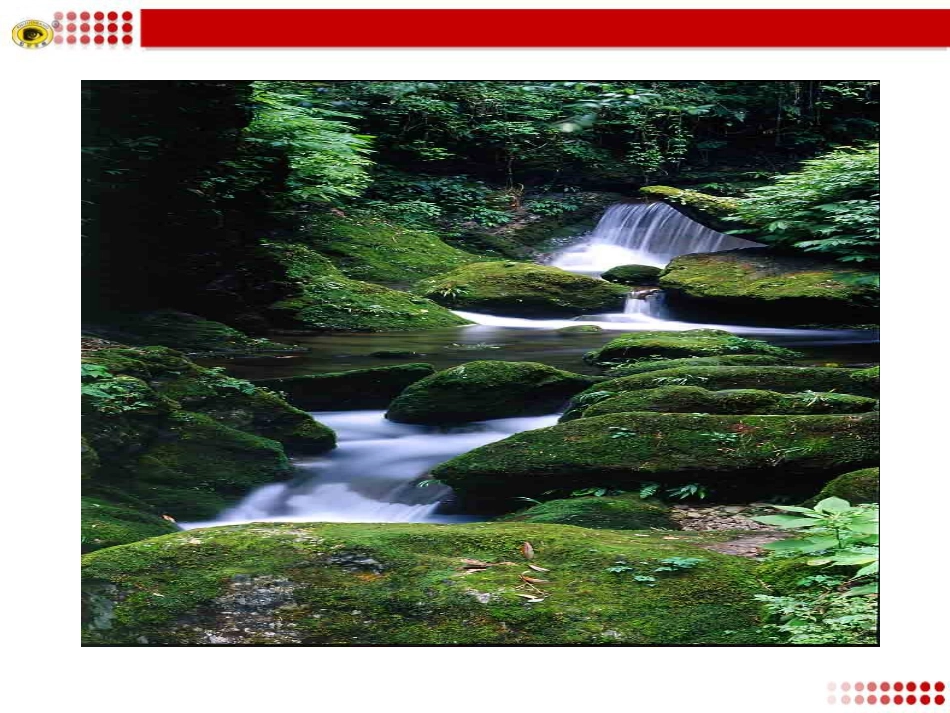 大自然的语言 (5)_第2页