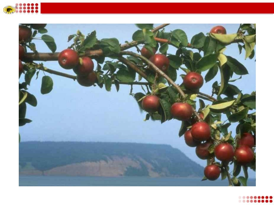 大自然的语言 (5)_第3页