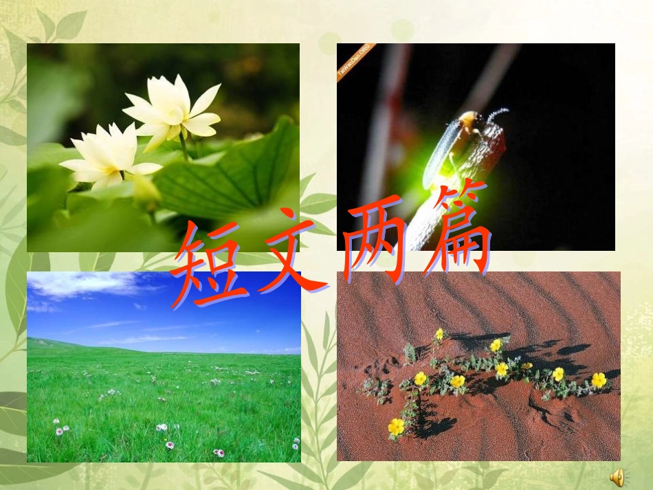 短文两篇《蝉》《贝壳》课件（16页）_第1页