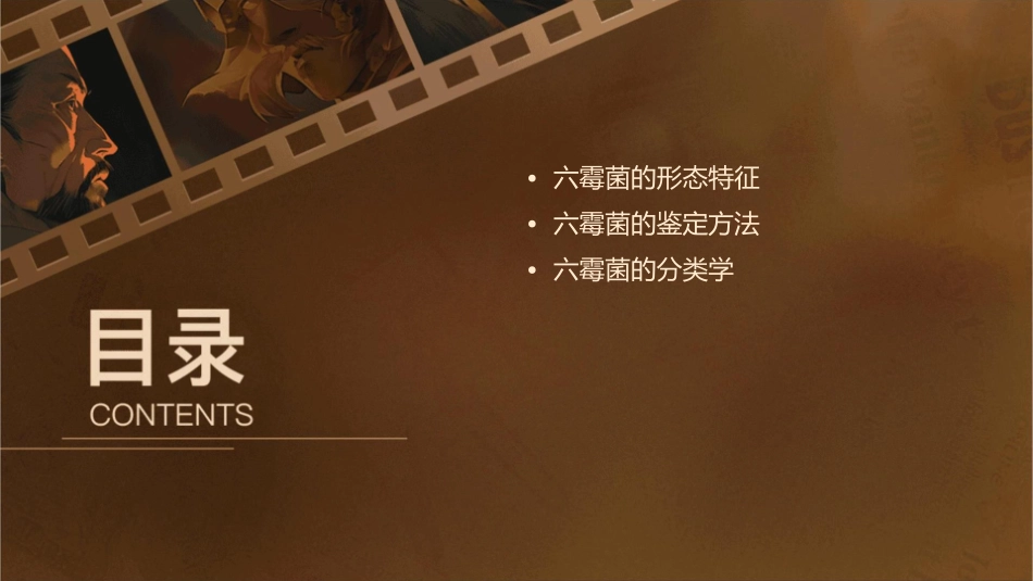 六霉菌的形态观察与鉴定课件_第2页