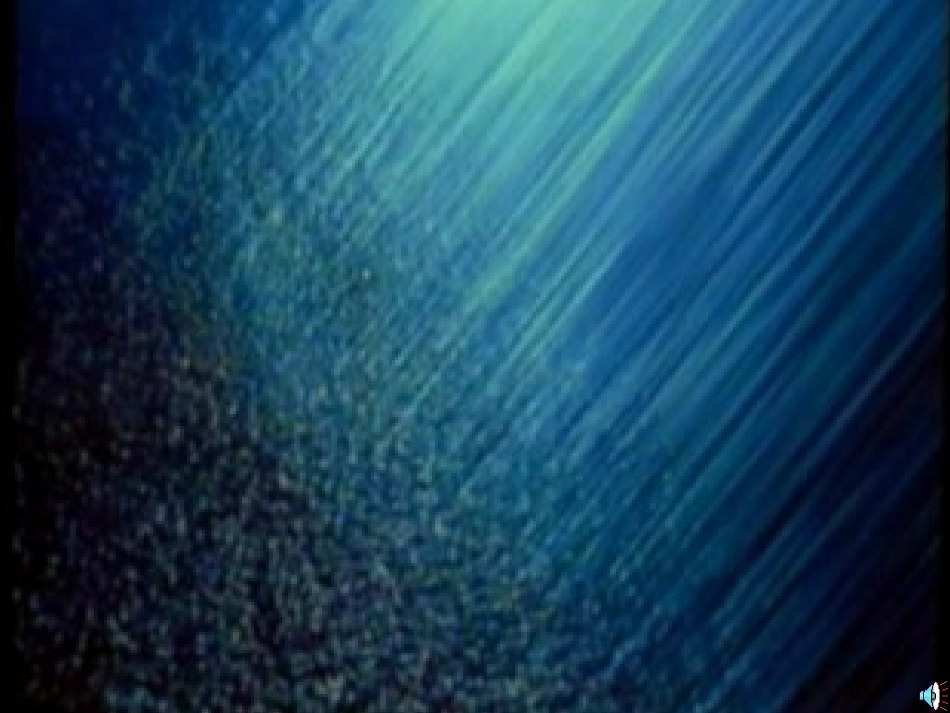 秋天的雨PPT课件_第3页