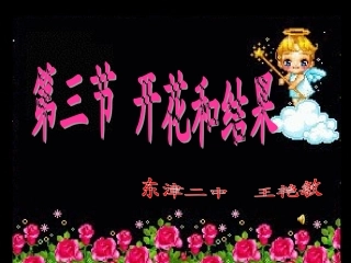 开花和结果课件