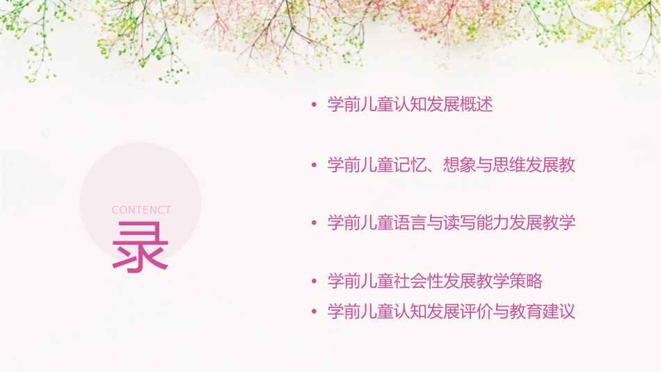 学前儿童认知的发展教学课件_第2页