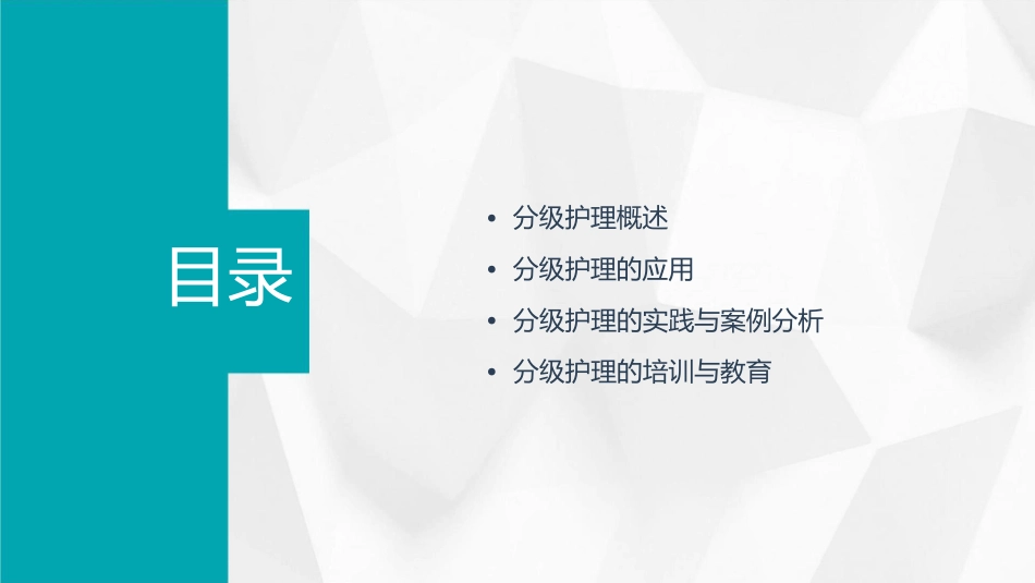 分级临床应用护理课件_第2页