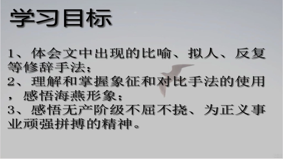 《海燕》第一课时_第2页
