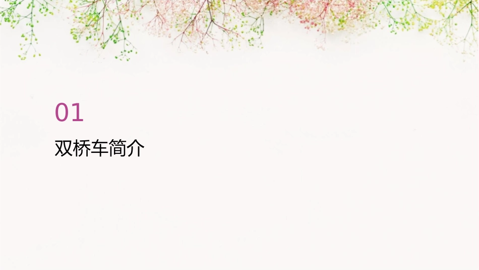 双桥车操作规程课件_第3页