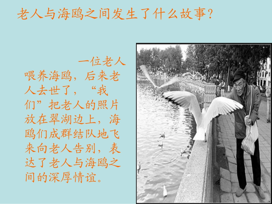 老人与海鸥 (4)_第3页