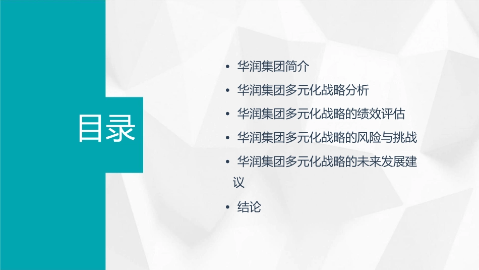 华润集团多元化分析课件_第2页