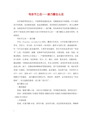 母亲节之花——康乃馨怎么送 